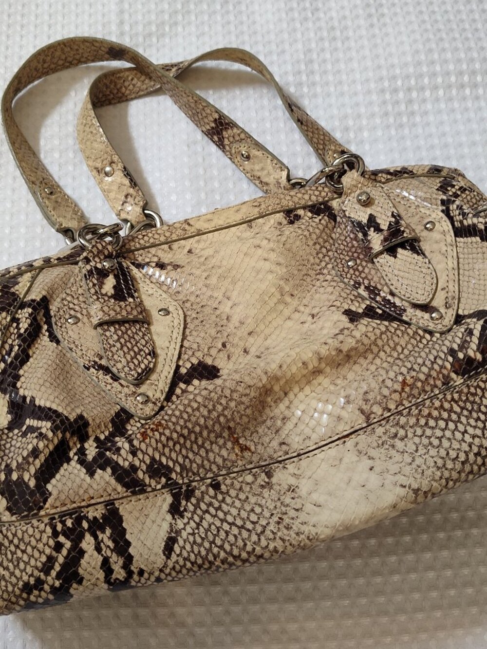 ColeHaan, Trinity Python, Shoulder Bag, Y2K, Spring 2005